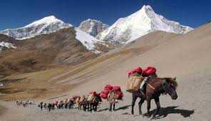 10 Unmissable Experiences in Bhutan: From Dzongs to Dragon Tales