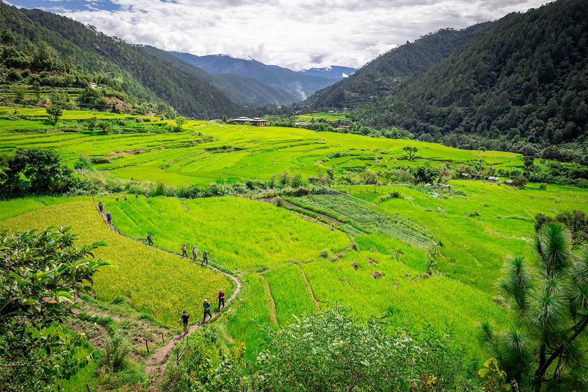 Sustainably Yours, Bhutan: Why We Are One of the Greenest Countries on Earth