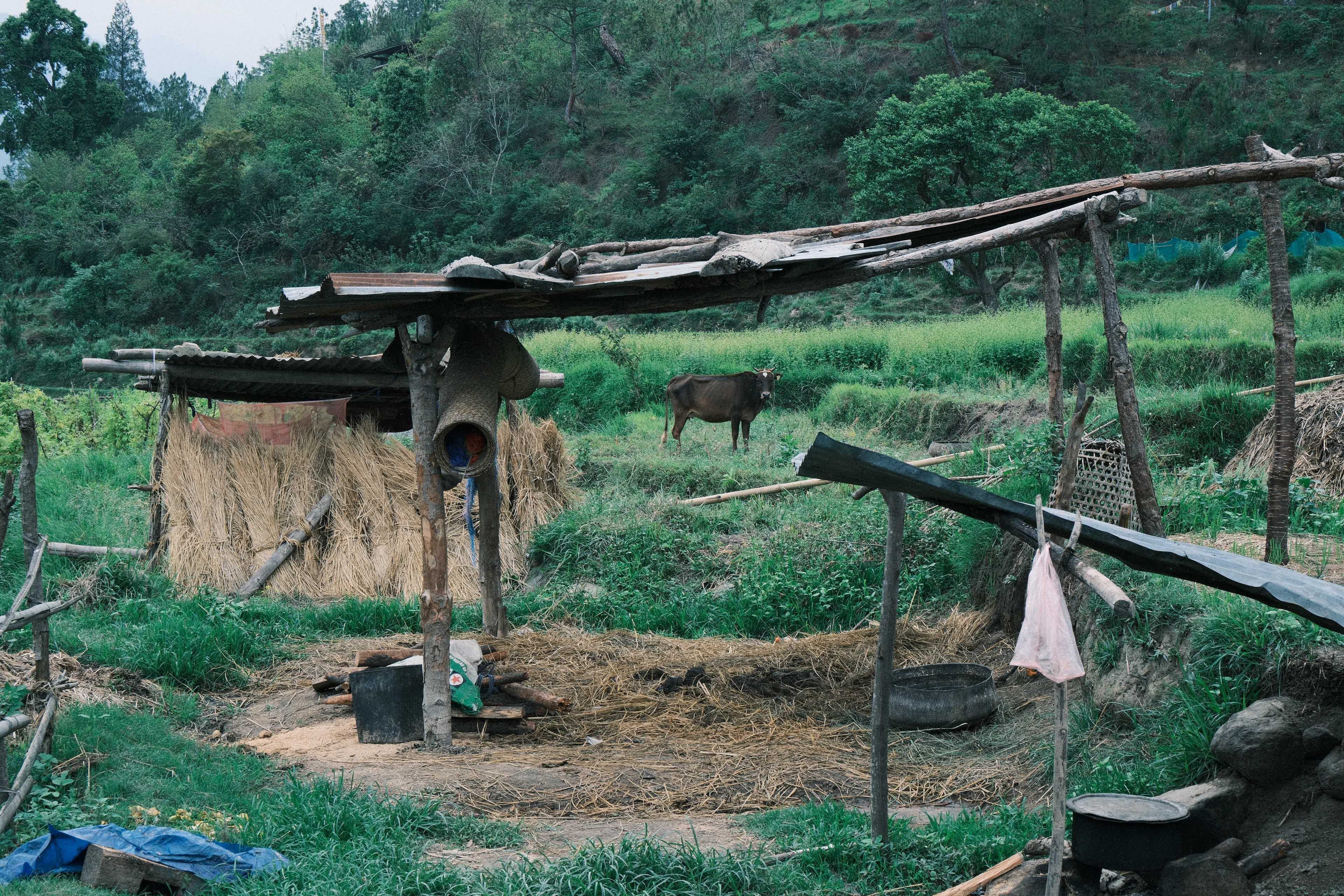 How Much Does It Really Cost to Visit Bhutan? A Friendly Breakdown for 2025 Travelers