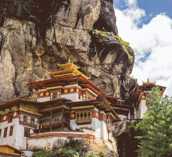 Paro Festival Tour